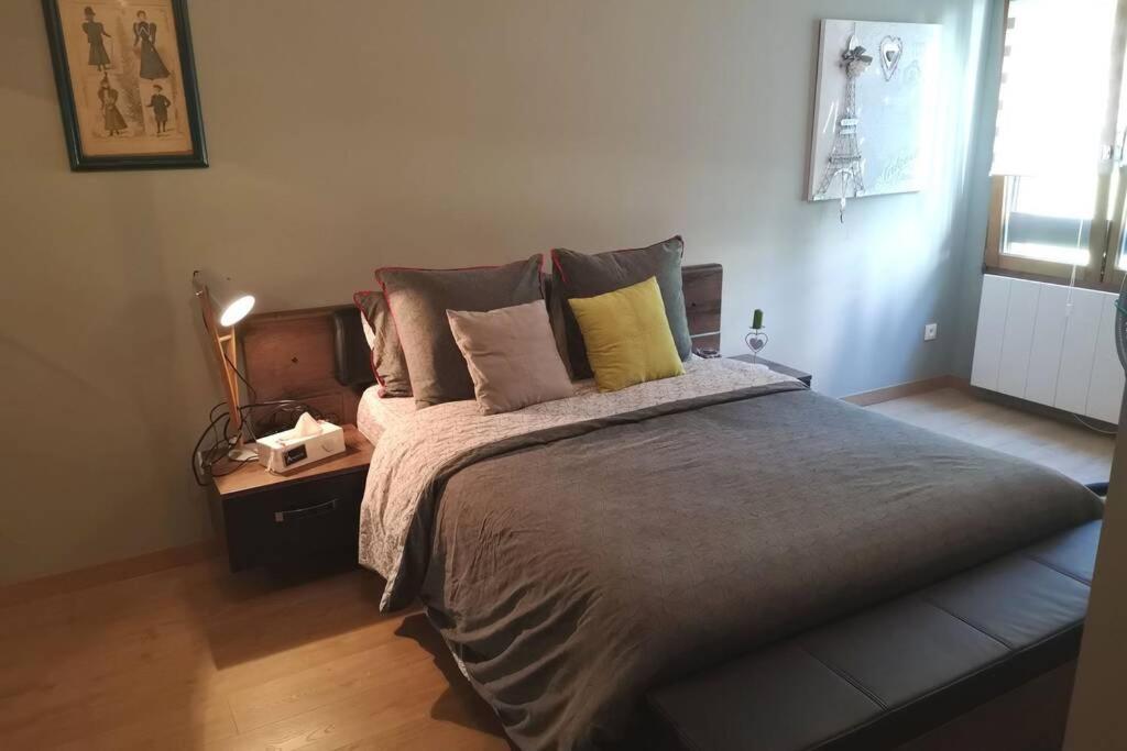 Appartement Meuble Tout Confort Scionzier Eksteriør billede